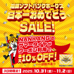 NANKANG NS-2 225/35R18 87H XL - オートウェイ