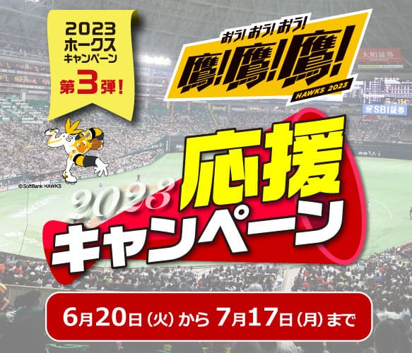 キャンペーン