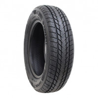 Warwic Empress mesh 15x4.5 43 100x4 BK/P + DAVANTI WINTOURA 165/60R15 77H ｽﾀｯﾄﾞﾚｽ