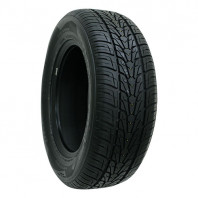 ROADIAN HP