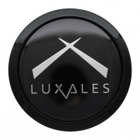 LUXALES LB-MS65 20x8.5 38 114.3x5 BK/FP + MINERVA F205 225/35R20.Z 90Y XL