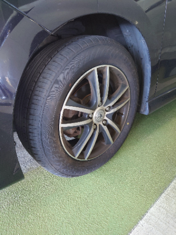 レーダー リベラ プロ2 195/50R15 195/50-15 86V XL 15インチ 1本のみ RADAR Rivera Pro 2 輸入 サマータイヤ P最大30倍！10⁄20取付対象Radar レーダー Rivera